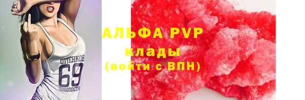 трава Новодвинск