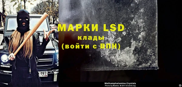 ПСИЛОЦИБИНОВЫЕ ГРИБЫ Новозыбков