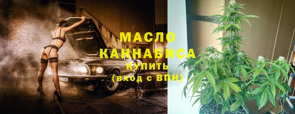 ПСИЛОЦИБИНОВЫЕ ГРИБЫ Новозыбков