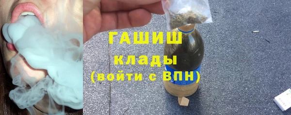 ПСИЛОЦИБИНОВЫЕ ГРИБЫ Новозыбков
