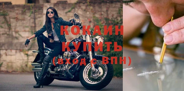 трава Новодвинск