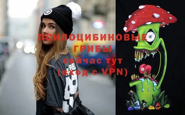 ПСИЛОЦИБИНОВЫЕ ГРИБЫ Новозыбков
