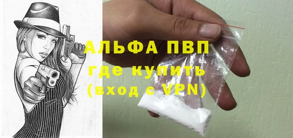 ПСИЛОЦИБИНОВЫЕ ГРИБЫ Новозыбков