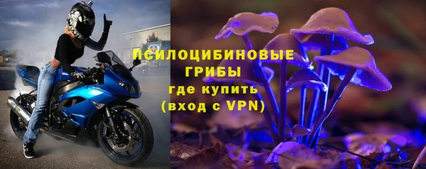трава Новодвинск