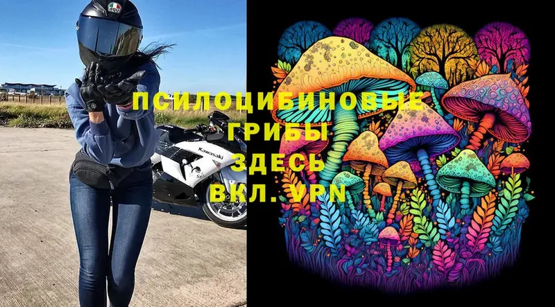 Псилоцибиновые грибы Magic Shrooms  хочу   Кинель 