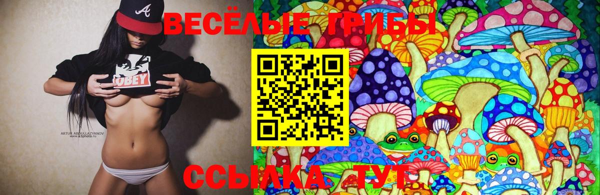 Галлюциногенные грибы мицелий Кинель