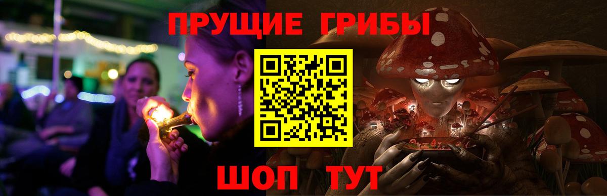 Кинель  Галлюциногенные грибы мицелий  Псилоцибиновые грибы мицелий  Вход с VPN 
