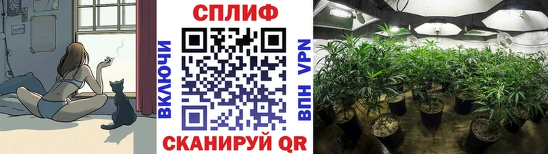 Каннабис LSD WEED MEGA зеркало Кинель
